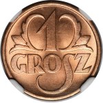 Hasonlók megtekintése