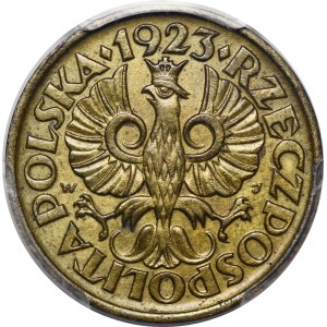 1923 5 groszy Trial Coin (12/IV StW 24) - BRASS