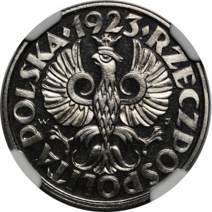 1923 20 groszy Trial Coin - MIRROR FINISH, Type II