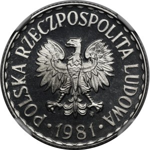 1 zloty, 1981 - MIRRORED