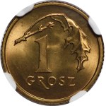 Zobrazit podobné