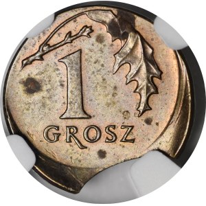 Destrukt, 1 grosz 1991 - niespotykany