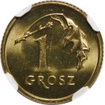 Zobacz podobne