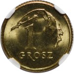 Виж подобни артикули