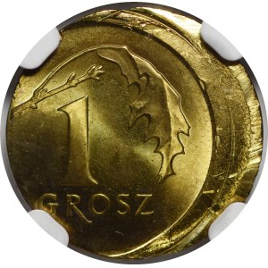 Destrukt, 1 grosz, 2024 – extremely rare