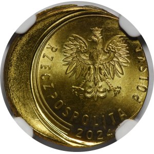 Destrukt, 1 grosz, 2024 – extremely rare