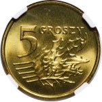 Zobacz podobne