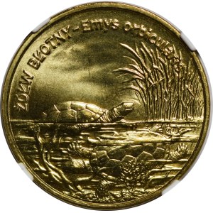 2 złote 2002 Żółw Błotny