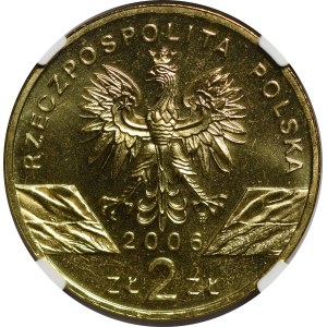 2 złoty 2006 Marmotta