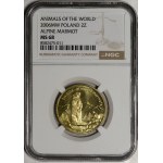 2 złoty 2006 Marmotta
