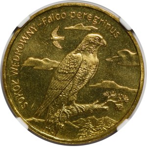 2 złote 2008 Sokół Wędrowny