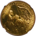 Žiūrėti panašius
