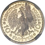 10 zlotych Chrobry 1925 - DESTRUKT