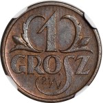 Zobacz podobne