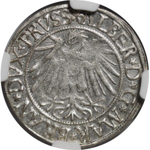 Duchy of Prussia, Albrecht Hohenzollern, grosz, 1539, Königsberg