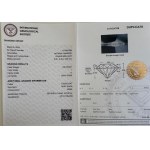 DIAMANT 1 CT I -I1 - IGI - C40501-10