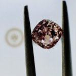 1 CT ROSE BRAUNER DIAMANT GIA ZERTIFIZIERT - EY40714