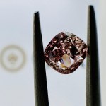 1 CT ROSE BRAUNER DIAMANT GIA ZERTIFIZIERT - EY40714