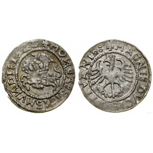 Poland, half-penny, 1528, Vilnius