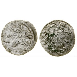 Polska, denar, 1558, Wilno