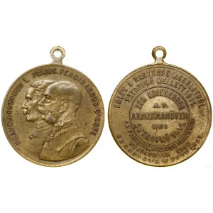 Austria, commemorative medal, 1911