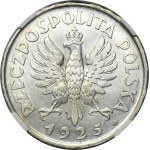 Constitution, 5 gold 1925 - 81 gems - NGC UNC DETAILS