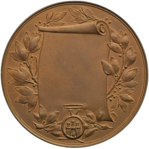 PROBE, Galicia, Medal Honorary Citizen of the City Lviv 1902 - VERY RARE, no dedication