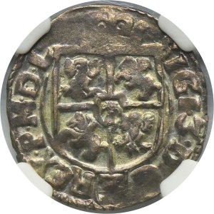 Sigismund III Vasa, 3 Polker Krakau 1616 - NGC MS61