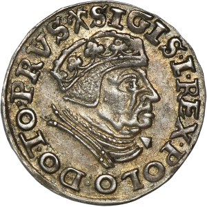 Žigmund I. Starý, Trojak Gdansk 1539 - PRVS