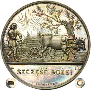 Award Medal of the Galician Economic Society 1849