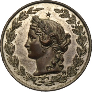 Galicia, Medal National Agricultural and Industrial Exhibition in Lviv 1877 - VERY RARE