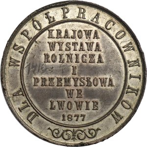 Galicia, Medal National Agricultural and Industrial Exhibition in Lviv 1877 - VERY RARE