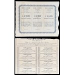 Bank Zachodni S.A., 5 x PLN 100 1929, Issue I