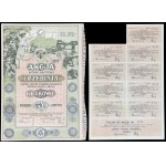 "Trzebinia" S.A. Factory of Agricultural Machines and Tools Iron and Metal Foundry, 50 zl 1924