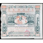 "Tehate" Society for Trade, Industry and Agriculture, 1,000 mkp 1920