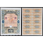 Sierszańskie Zakłady Górnicze S.A., PLN 100, Issue VI