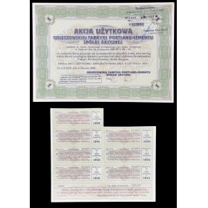 Goleszowska Portland Cement Factory S.A., utility action