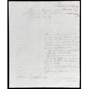 Filigree paper D &amp; C BLAUW