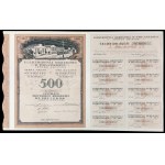 Pruszkow District Power Plant S.A., 500 mkp 1921, Issue III