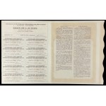 Pruszkow District Power Plant S.A., 500 mkp 1921, Issue III