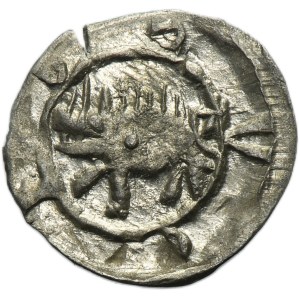 Silesia, Duchy of Schweidnitz-Jauer, Georg of Poděbrady, Heller Schweidnitz - RARE