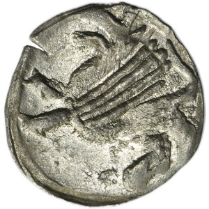 Silesia, Duchy of Schweidnitz-Jauer, Georg of Poděbrady, Heller Schweidnitz - RARE