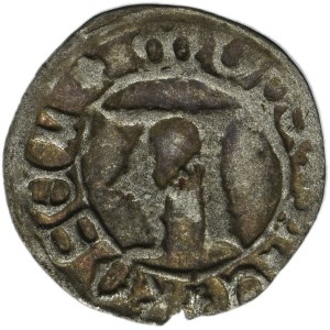 Silesia, Duchy of Kosel, Konrad VII the White, Heller Kosel - RARE