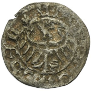Silesia, Duchy of Kosel, Konrad VII the White, Heller Kosel - RARE