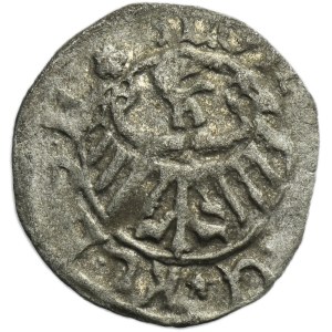 Silesia, Duchy of Kosel, Konrad VII the White, Heller Kosel - RARE