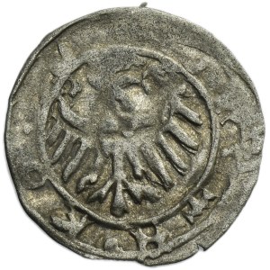Silesia, Duchy of Kosel, Konrad VII the White, Heller Kosel - RARE