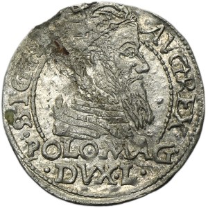Sigismund II August, Groschen Tykocin 1566 - L/LIT