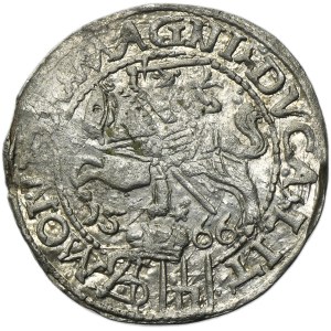 Sigismund II August, Groschen Tykocin 1566 - L/LIT