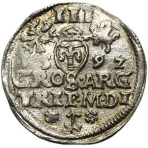Zygmunt III Waza, Trojak Wilno 1592