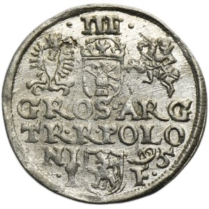 Sigismund III Vasa, 3 Groschen Olkusz 1595